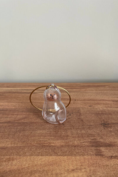 Kreta Store Transparent Cat Hair Storage Box - Pet Hair Keepsake Gift Keychain