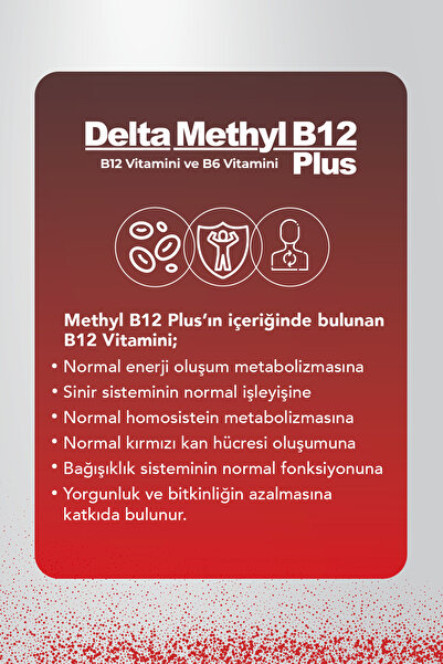 Dens Delta Naturel Methyl B12 Plus Methylcobalamin Sprey 10ml