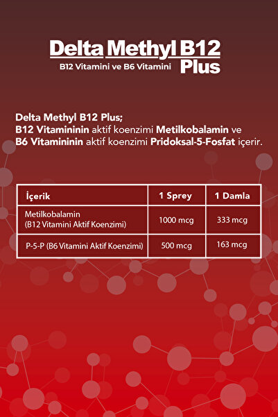 Dens Delta Naturel Methyl B12 Plus Methylcobalamin Sprey 10ml