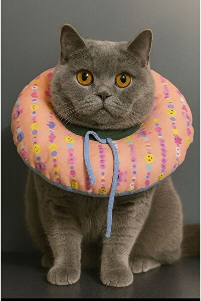 yalıpet Kedi Köpek Boyunluk - Koruyucu Elizabeth Yaka & Tırnak Kesme Yardımcı...