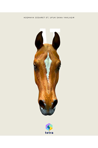 Tetra Craft At Duvar Süsü – 3D Dekoratif Heykel