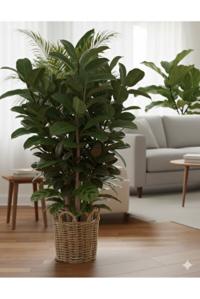 shop RADDANCORE 30CM PREMİUM VİNTAGE SAKSI KILIFI