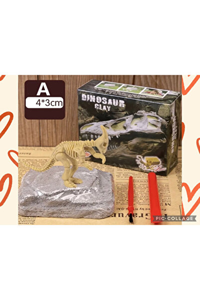 AZİZ OYUNCAK Stegoceras Türü Iskelet Fosil Dinazor Kazı Kiti 8x9 Cm Kutusu