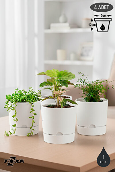 ToXA 4 Adet 0.95 Litre Beyaz Begonya Saksı Küçük Boy Tabaklı Dekoratif Mat Plastik Saksı