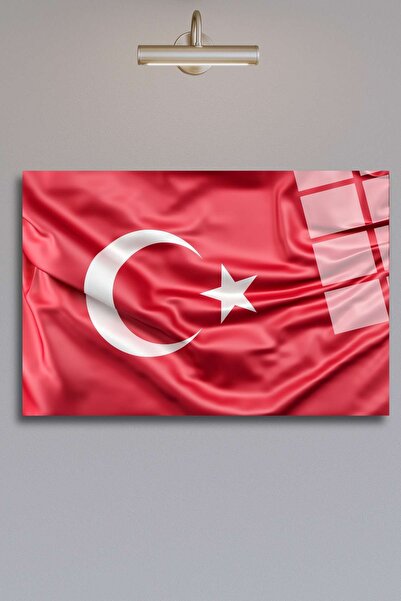 HMDS CONCEPT Steagul Turciei 417