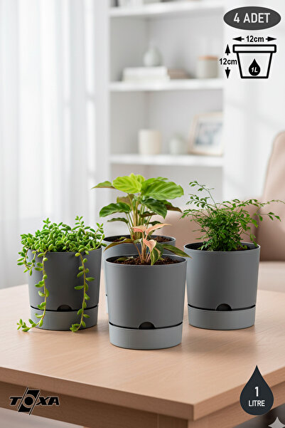 ToXA 4 Adet 0.95 Litre Gri Begonya Saksı Küçük Boy Tabaklı Dekoratif Mat Plas...