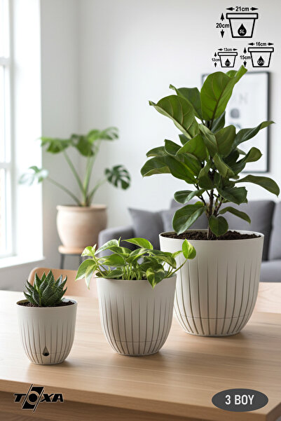 ToXA 3 Boy Tabaklı Drenaj Delikli Çizgi Saksı Seti Drenajlı Plastik Çiçek Saksısı Set