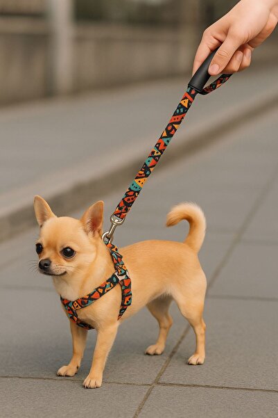 Angelapets KÖPEK TASMA SETİ 3'LÜ ( GÖĞÜS TASMASI BOYUN TASMASI GEZDİRME KAYIŞI )