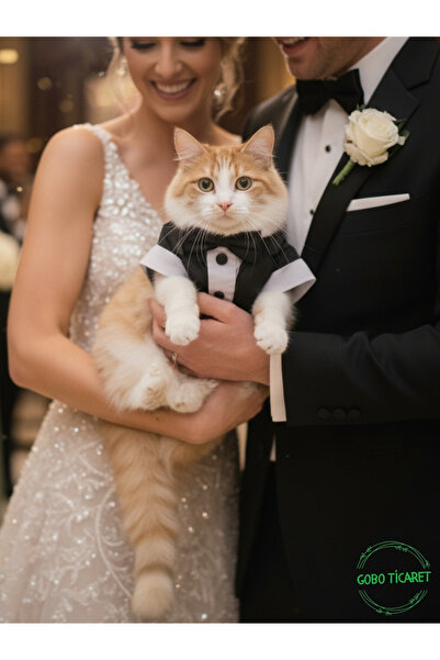 Gobo فستان سهرة للقطط والكلاب مع ربطة عنق سوداء مقاس Xlarge/xl/size 4