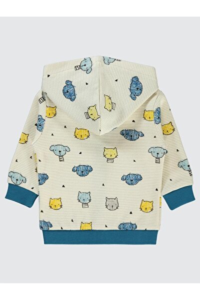 Civil Baby Baby Boy Cardigan 6-18 Months Stone Color