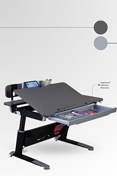 Creo Mobili Sirius Standart Dinamik Çalışma Masası Yükseklik Ayarlı ve Eğimli Masa - 120x75 Cm, Antrasit/Gri