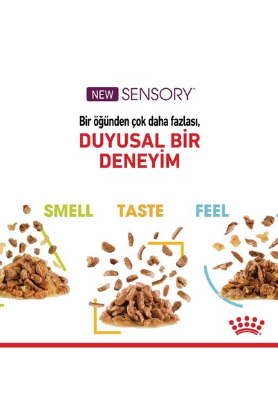 Royal Canin Sensory Feel in Gravy Adult Cat Canned 85 Gr