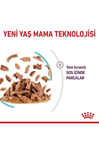 Royal Canin Sensory Feel in Gravy Adult Cat Canned 85 Gr