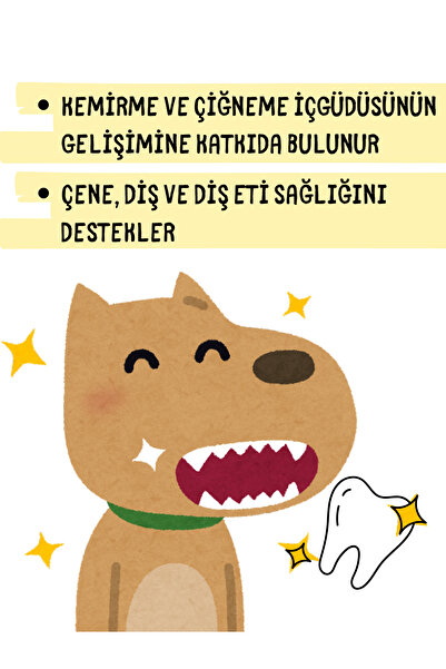 CHOMPO Diş Kaşıma 2'lisi Doğal Köpek Ödülü