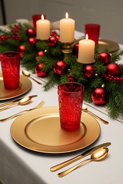 EWs Akrilik Kırmızı 6'lı Uzun Bardak & Su Meşrubat Bardağı 750 Ml ( Büyük Boy & Cam Değildir )