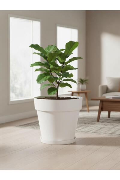 Bliss 10 lt Kırık Beyaz Tabaklı Izgaralı Dekoratif Plastik Yalı Saksı