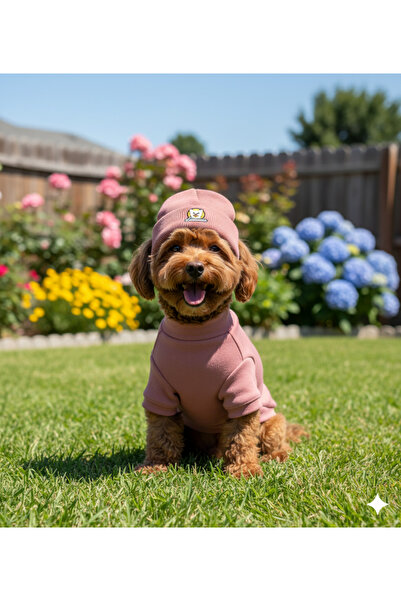 Lokums طقم ملابس وقبعة للكلاب مصنوع يدويًا من قماش ريبانا (للفئات الصغيرة وال...