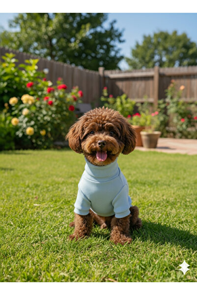 Lokums ملابس أساسية للكلاب مصنوعة يدويًا (لكلاب السلالات الصغيرة والمتوسطة)