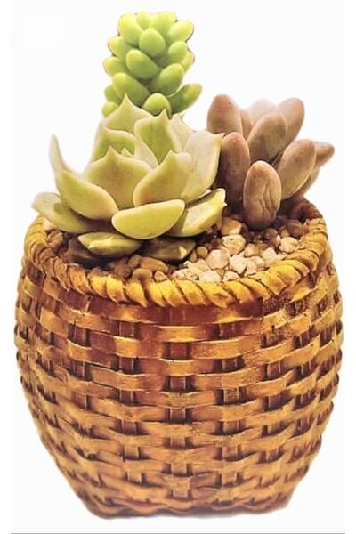 morlalem m Örgü Sepet Saksı Silikon Kalıp K-661, Polyester Çimento Taş Tozu A...