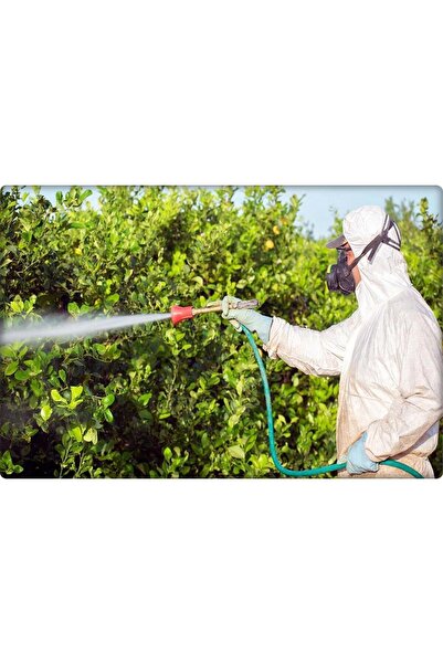 Melih Spraying-Wood Cutting Goggles (Transparent)