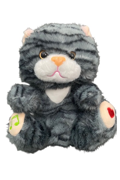 Store Uyku arkadaşı nefes alıp veren popüler kedi