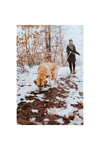 Hunter Zgardă pentru câini Confort 47-55 cm L Portocaliu