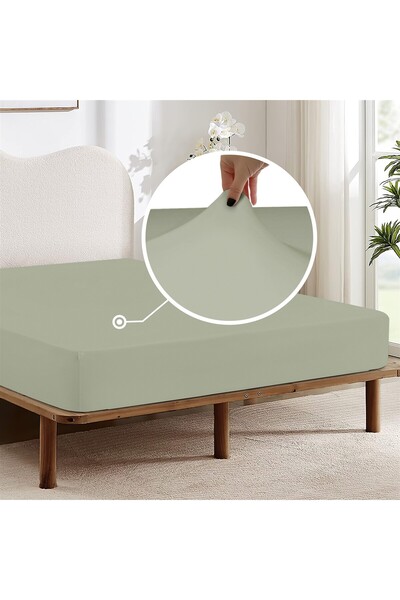 Monolisse 100% Cotton Combed Elastic Sheet