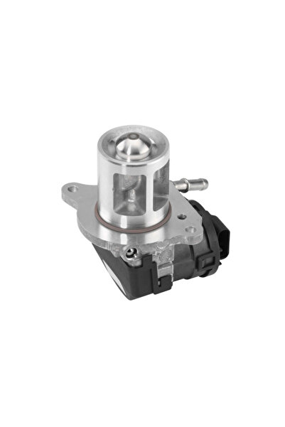 BorgWarner (Wahler) Supapa Egr Mercedes-Benz C-Class/Cls/E-Class