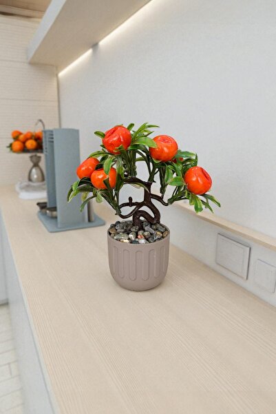 safestore Beige Cobalt Ida Artificial Mandarin Tree with Pebbles and Stones 18 cm