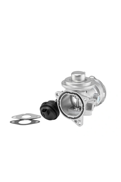 BorgWarner (Wahler) Supapa Egr Audi A4 B6/A6 C5 Ford Galaxy 1