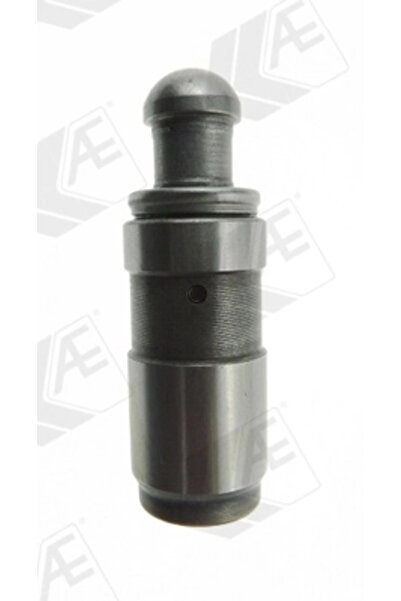 AEAONLİNE Culbutor Supapa Partea De Admisie Bmw 3/5 Rolls-Royce Park Ward/Sil...