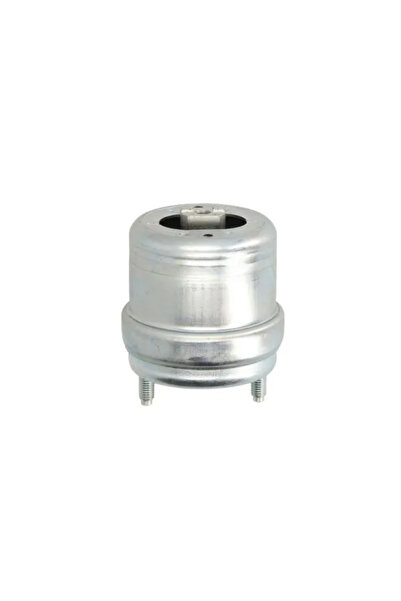 REINHOCH Suport Motor Dreapta Vw Transporter T4 Bus/Transporter T4 Caroserie/...