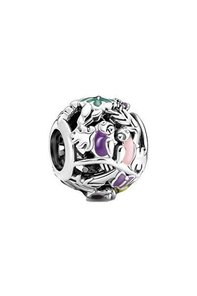 Bijuterii Nadiela Talisman Argint 925, Charm pentru bratari – Beauty of colours