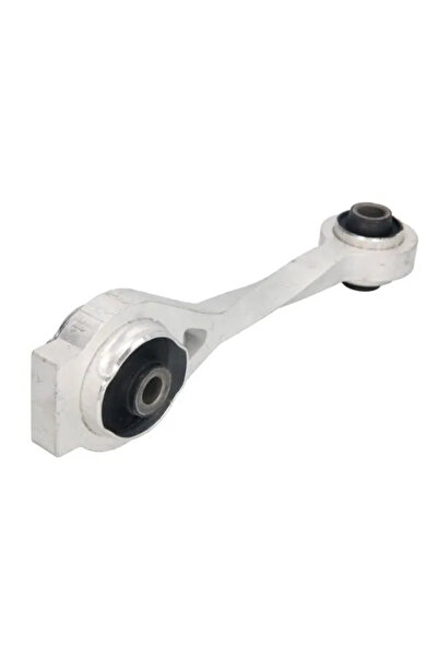 REINHOCH Suport Motor Spate Renault Clio 2/Kangoo/Megane 1