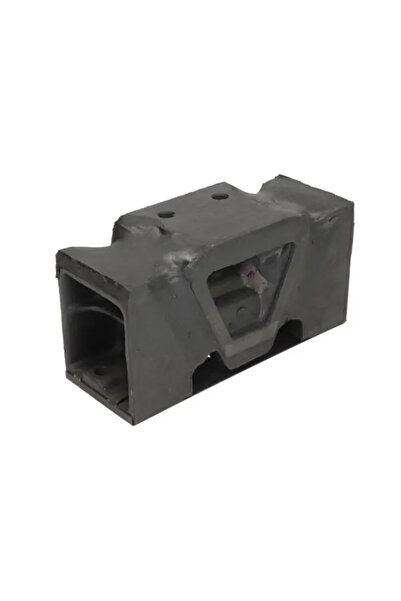 REINHOCH Suport Motor Pe Ambele Parti Man Nl/R/Ul Neoplan Transliner