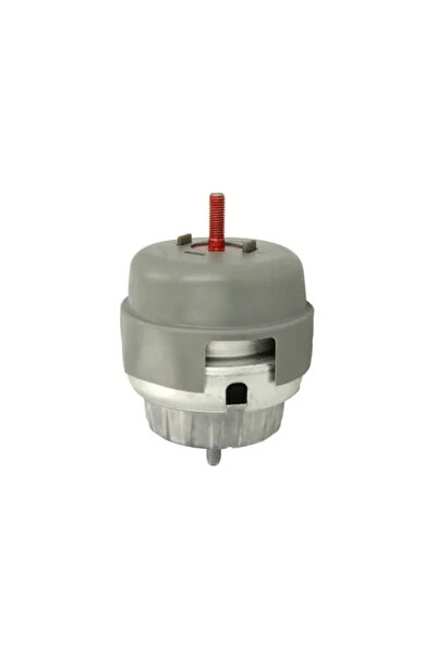 REINHOCH Suport Motor Dreapta Audi A6 Allroad C6/A6 C6 2004-2011