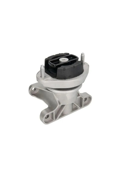 REINHOCH Suport Transmisie Automata Spate Audi A4 B6