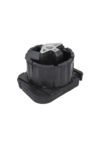 REINHOCH Suport Transmisie Automata Centru Bmw X5/X6