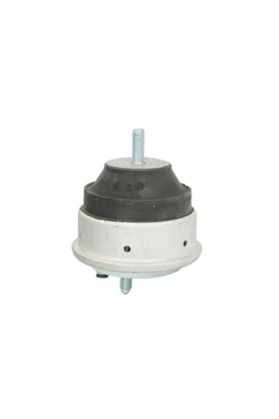 REINHOCH Suport Motor Pe Ambele Parti Bmw 3 1999-2007
