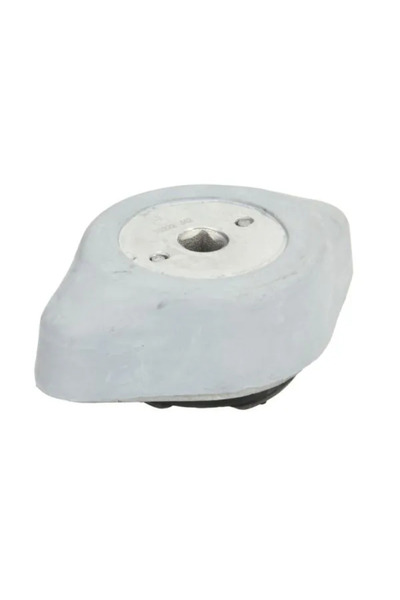 REINHOCH Suport Transmisie Manuala Fata Dreapta Audi A4 B5/A6 C5 Skoda Superb 1