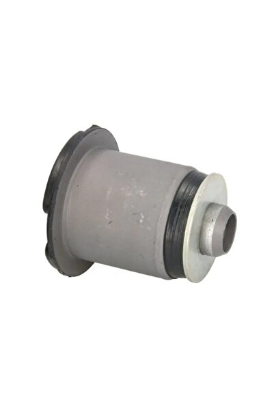 REINHOCH Lagar Suport Ax Spate Renault Espace 4/Laguna 2