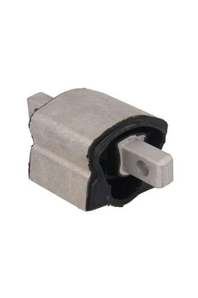 REINHOCH Suport Motor Spate Mercedes-Benz C-Class/Cls/E-Class