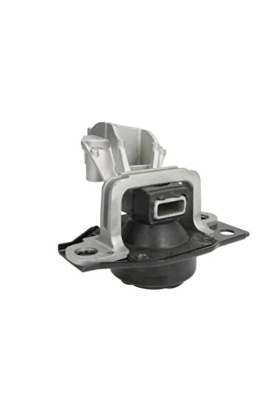 REINHOCH Suport Motor Dreapta Renault Kangoo / Grand Kangoo 2/Kangoo Express/...