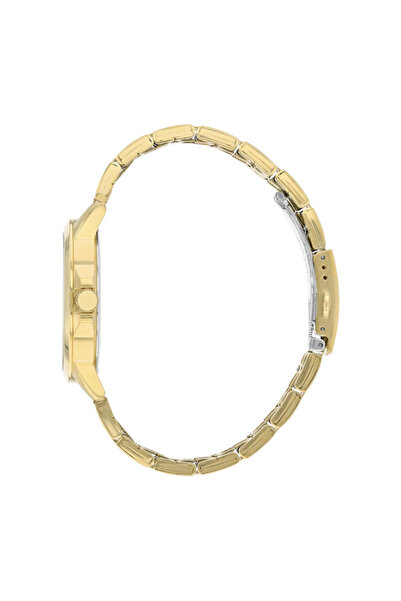 Citizen Men's Analog Gold Dial Watch - BF2013-56P