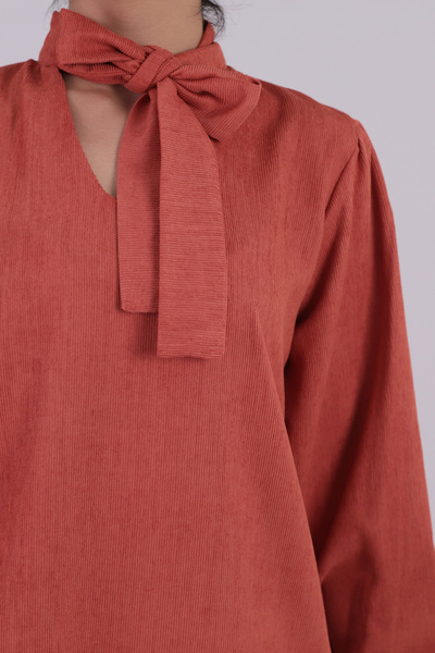 armonika Women's Salmon Collar Tie-Up Sleeves Elasticated Velvet Dress Arm-25K001087