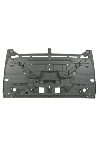 PACOL Radiator Grille Lower Part Daf Xf