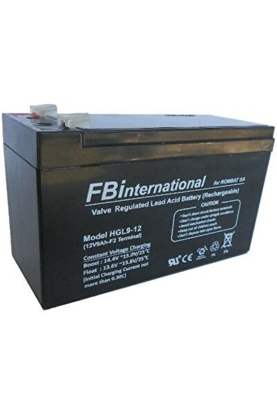 FB International Stationary Battery HGL12-9, 9 Ah/12 V