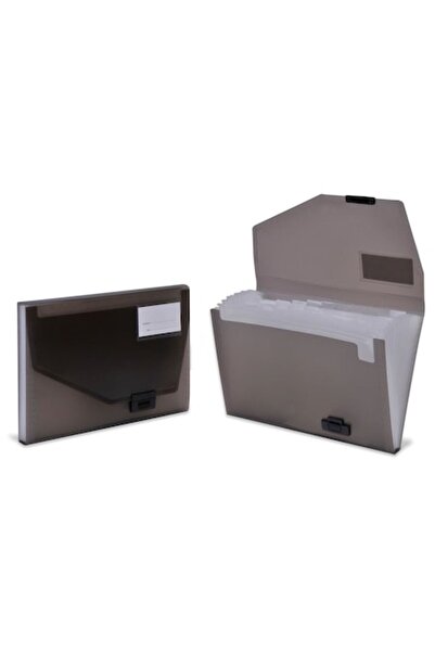 SHOPIENS Grey Document Briefcase, 13 Compartments, 33x32 cm
