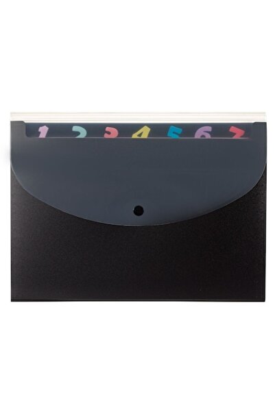 SHOPIENS Document Portfolio, 8 Compartments, Multicolor Plastic, 33x24.5 cm