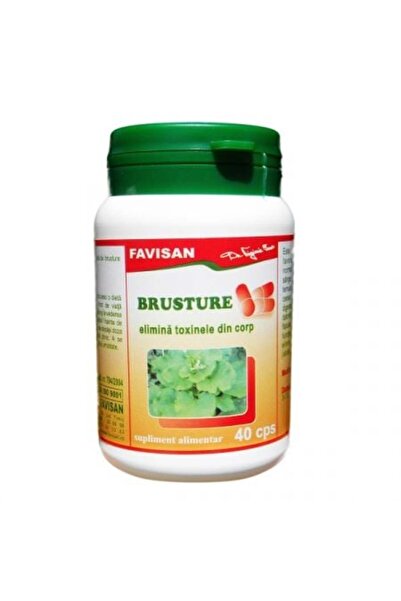Favisan Burdock, 40 capsules
